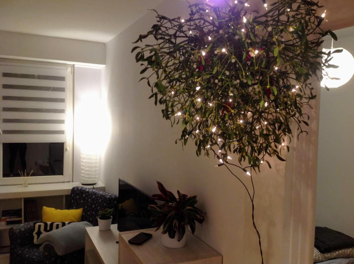 Apartament Usmiech بوتسك المظهر الخارجي الصورة